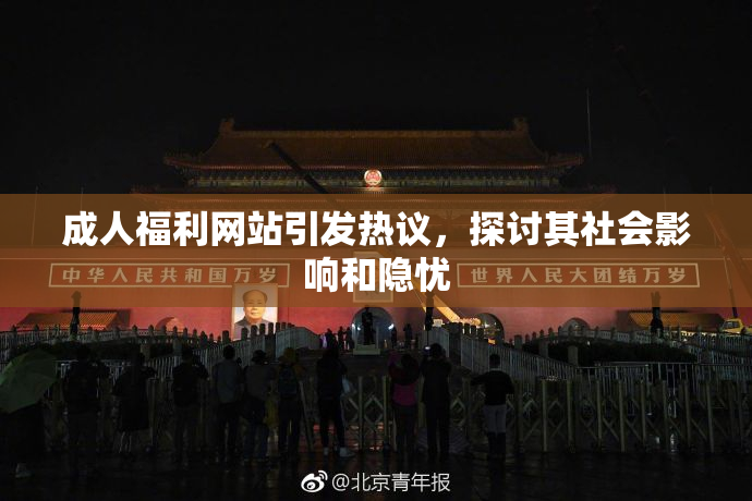 成人福利网站引发热议，探讨其社会影响和隐忧