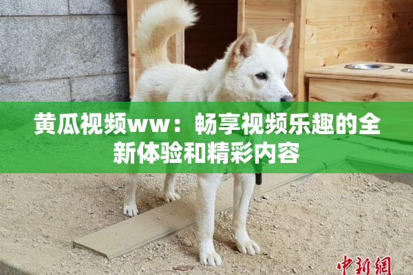 黄瓜视频ww：畅享视频乐趣的全新体验和精彩内容