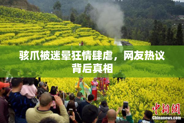 骇爪被迷晕狂情肆虐，网友热议背后真相