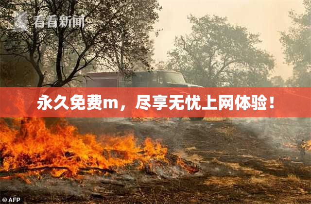 永久免费m，尽享无忧上网体验！