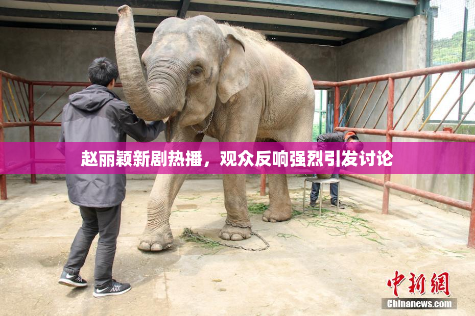 赵丽颖新剧热播，观众反响强烈引发讨论