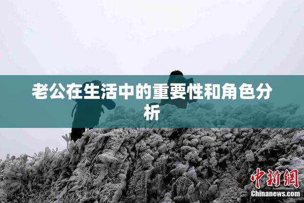 老公在生活中的重要性和角色分析