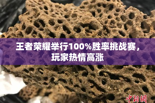 王者荣耀举行100%胜率挑战赛，玩家热情高涨