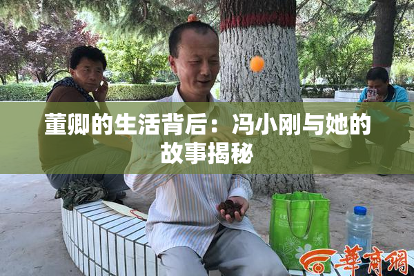 董卿的生活背后：冯小刚与她的故事揭秘