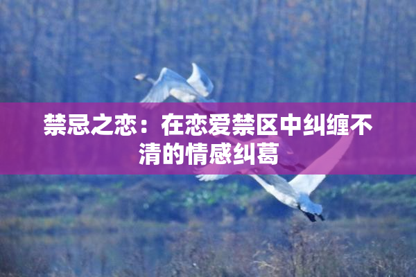 禁忌之恋：在恋爱禁区中纠缠不清的情感纠葛