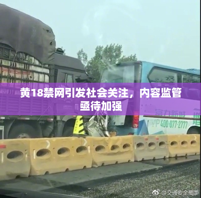 黄18禁网引发社会关注，内容监管亟待加强