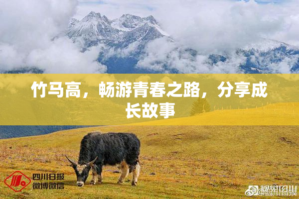 竹马高，畅游青春之路，分享成长故事