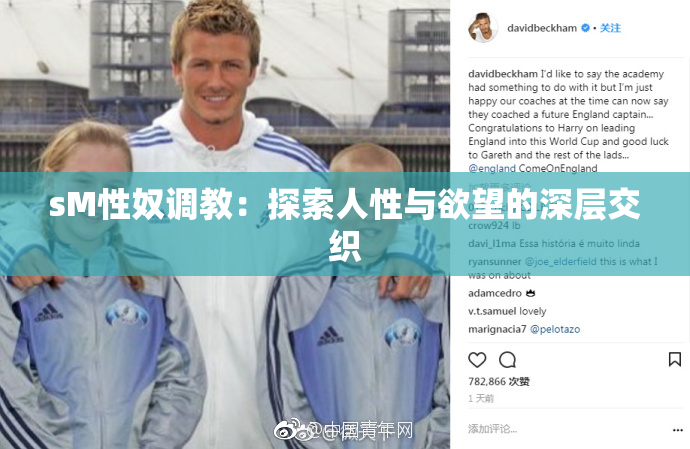 sM性奴调教：探索人性与欲望的深层交织
