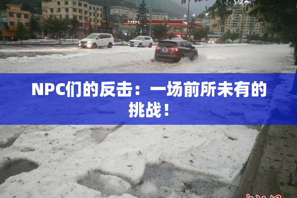 NPC们的反击：一场前所未有的挑战！