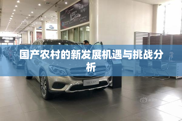 国产农村的新发展机遇与挑战分析