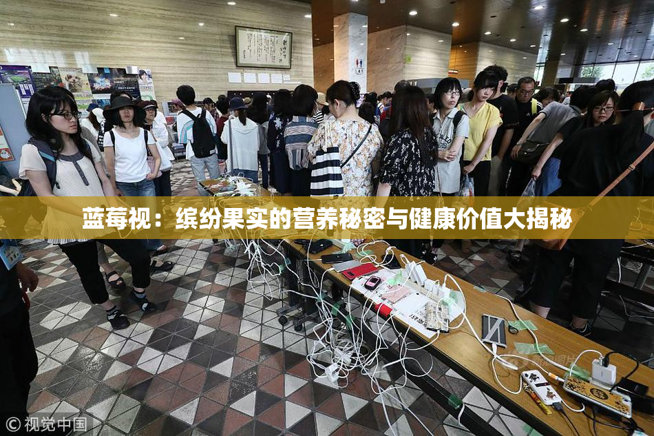 蓝莓视：缤纷果实的营养秘密与健康价值大揭秘