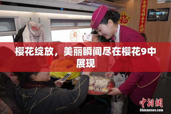 樱花绽放，美丽瞬间尽在樱花9中展现