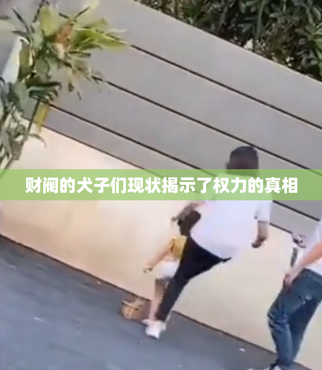 财阀的犬子们现状揭示了权力的真相