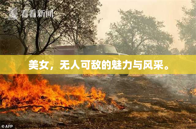 美女，无人可敌的魅力与风采。