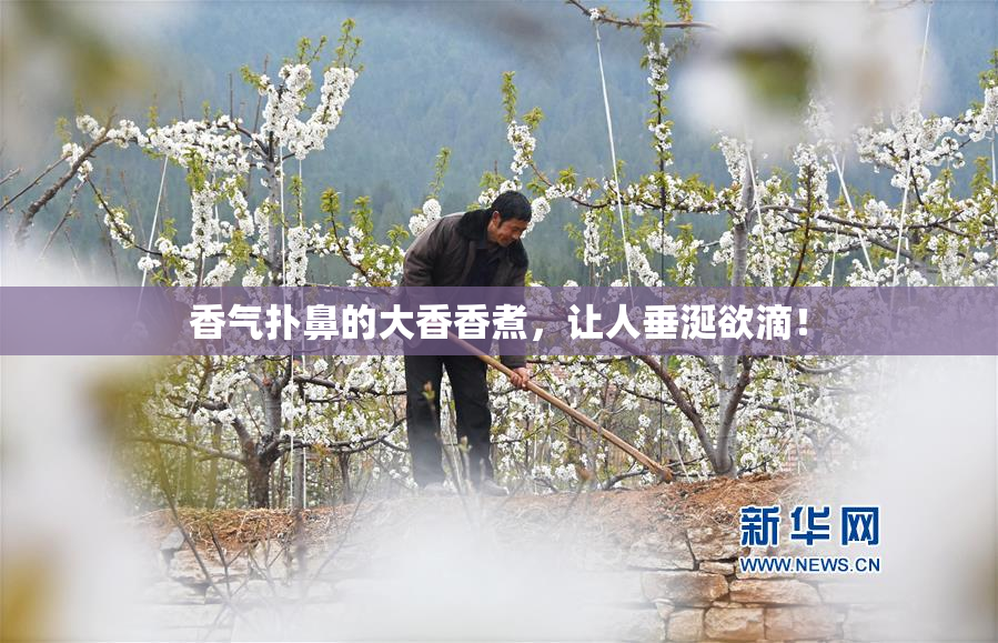 香气扑鼻的大香香煮，让人垂涎欲滴！