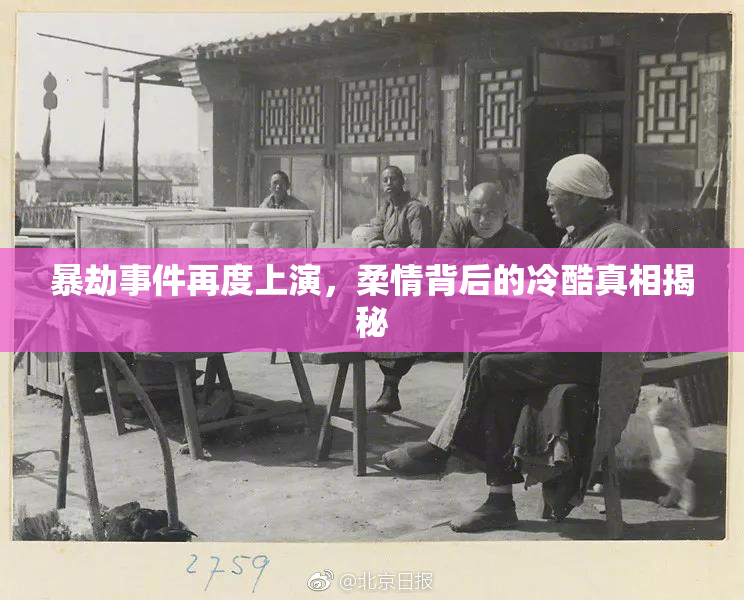 暴劫事件再度上演，柔情背后的冷酷真相揭秘