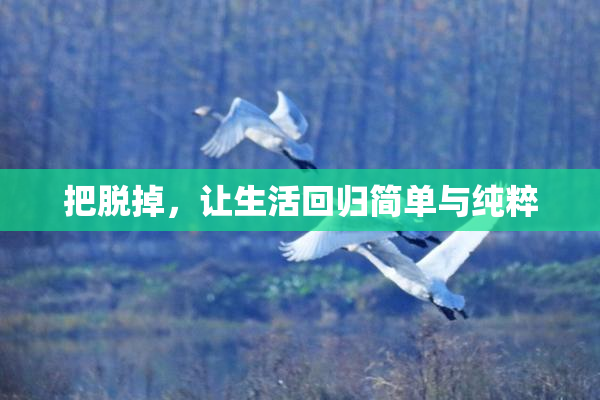 把脱掉，让生活回归简单与纯粹