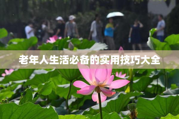 老年人生活必备的实用技巧大全