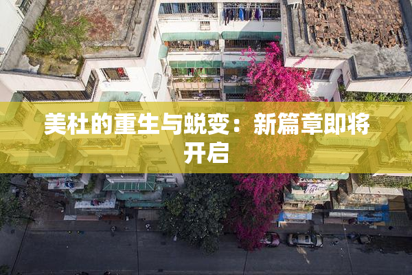 美杜的重生与蜕变：新篇章即将开启