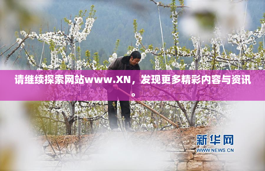 请继续探索网站www.XN，发现更多精彩内容与资讯。