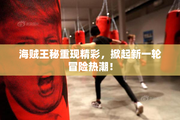 海贼王秘重现精彩，掀起新一轮冒险热潮！