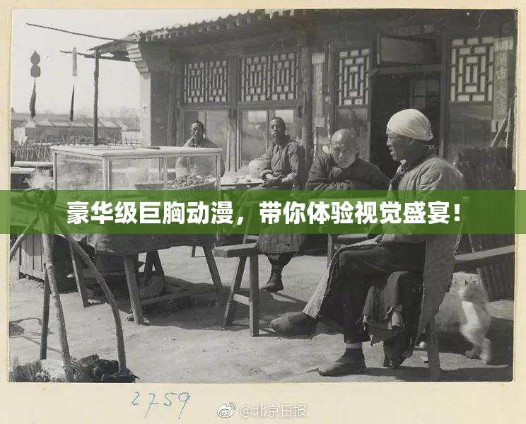 豪华级巨胸动漫，带你体验视觉盛宴！