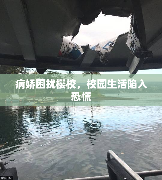 病娇困扰樱校，校园生活陷入恐慌