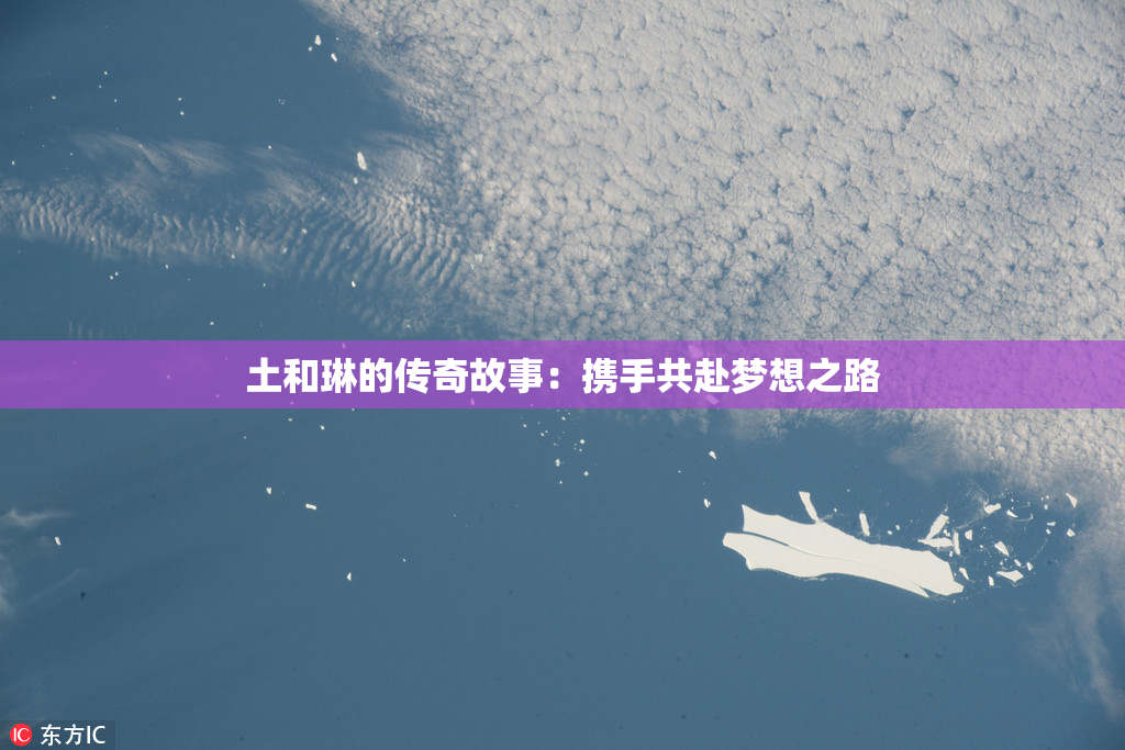 土和琳的传奇故事：携手共赴梦想之路