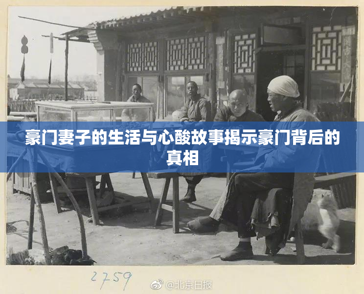 豪门妻子的生活与心酸故事揭示豪门背后的真相