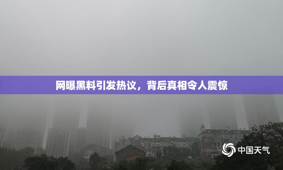 网曝黑料引发热议，背后真相令人震惊