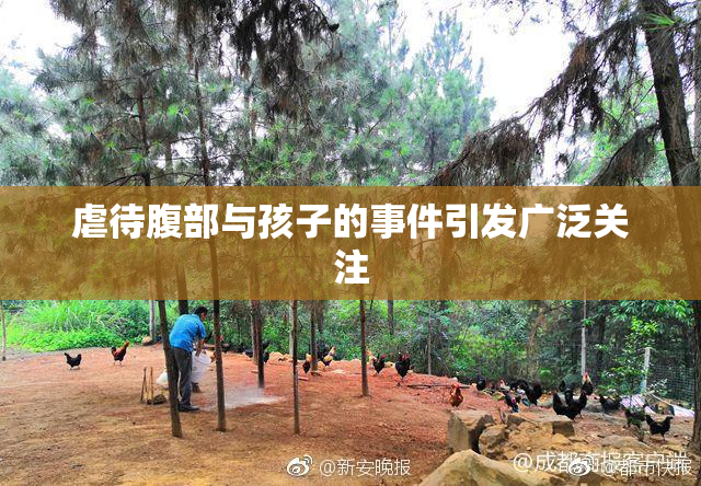 虐待腹部与孩子的事件引发广泛关注