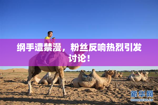 纲手遭禁漫，粉丝反响热烈引发讨论！