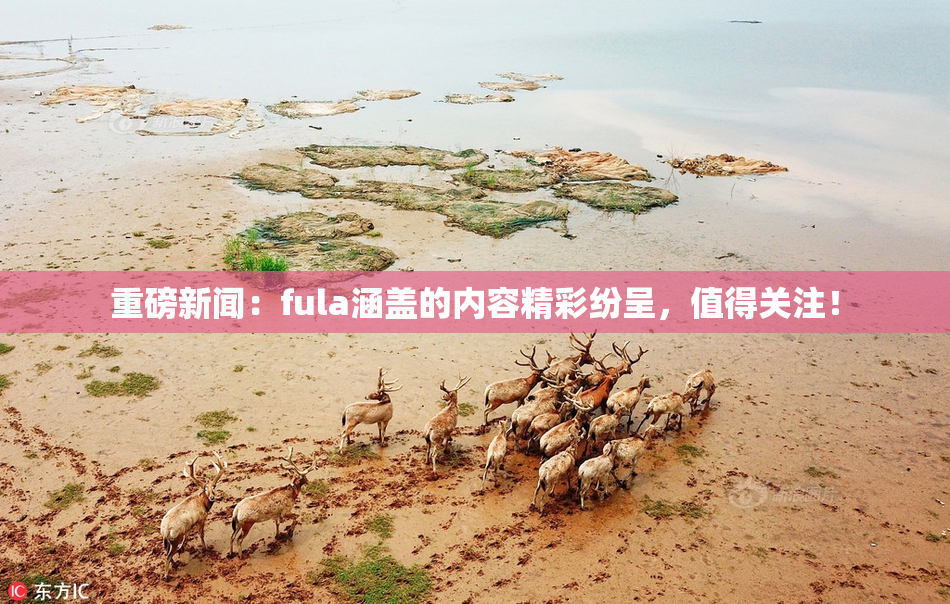 重磅新闻：fula涵盖的内容精彩纷呈，值得关注！