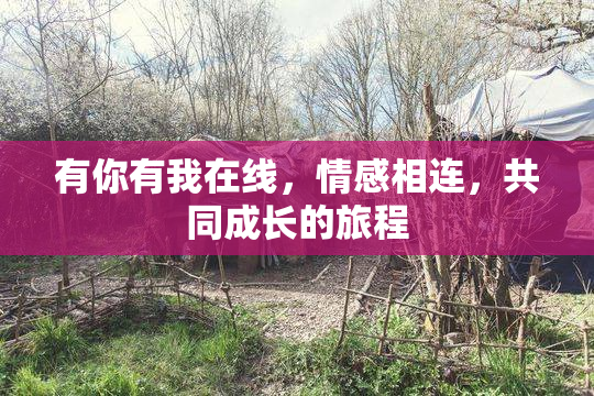 有你有我在线，情感相连，共同成长的旅程