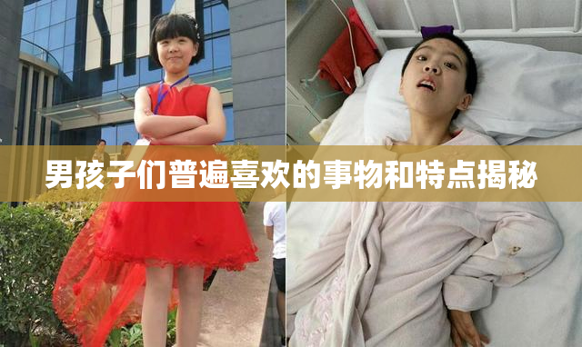 男孩子们普遍喜欢的事物和特点揭秘