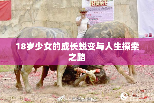 18岁少女的成长蜕变与人生探索之路