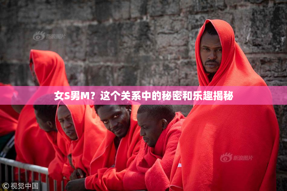 女S男M？这个关系中的秘密和乐趣揭秘