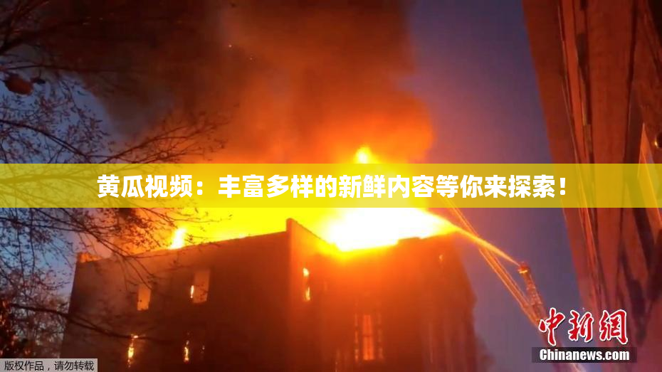 黄瓜视频：丰富多样的新鲜内容等你来探索！