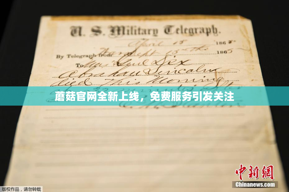 蘑菇官网全新上线，免费服务引发关注