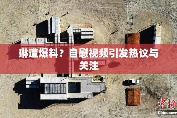 琳遭爆料？自慰视频引发热议与关注