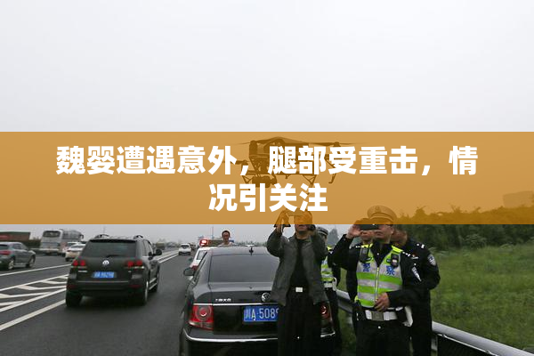 魏婴遭遇意外，腿部受重击，情况引关注