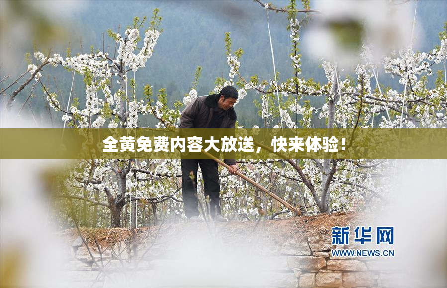 全黄免费内容大放送，快来体验！