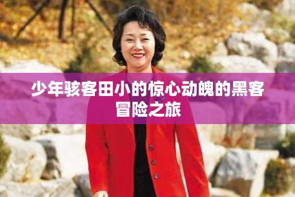 少年骇客田小的惊心动魄的黑客冒险之旅