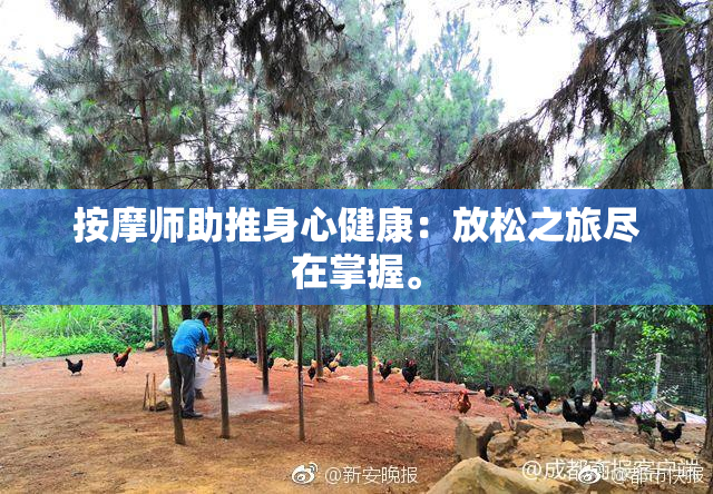 按摩师助推身心健康：放松之旅尽在掌握。