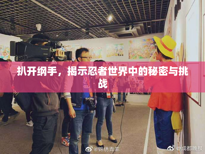 扒开纲手，揭示忍者世界中的秘密与挑战
