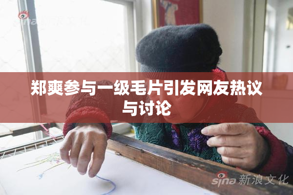 郑爽参与一级毛片引发网友热议与讨论