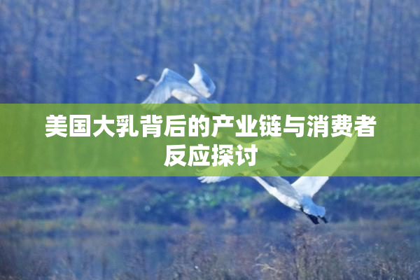 美国大乳背后的产业链与消费者反应探讨