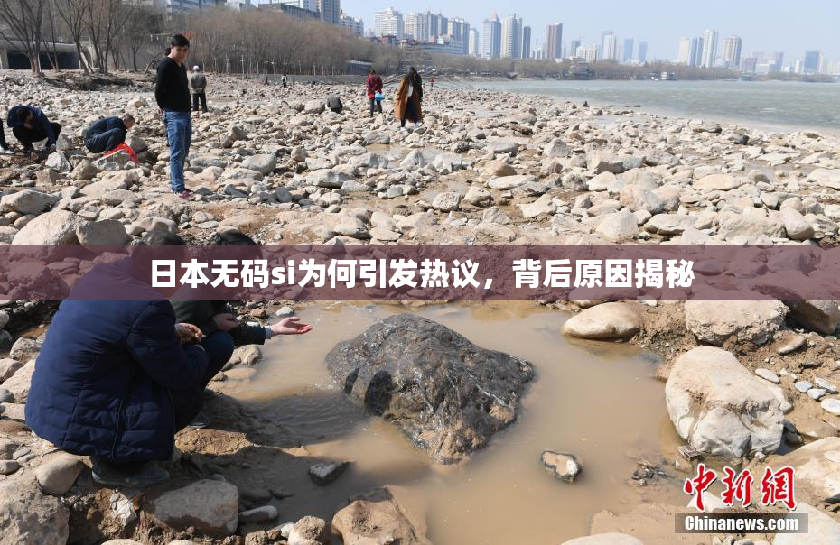日本无码si为何引发热议，背后原因揭秘