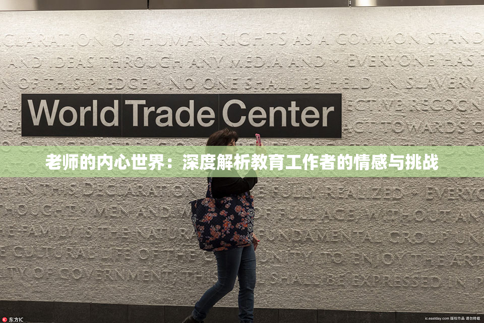 老师的内心世界：深度解析教育工作者的情感与挑战