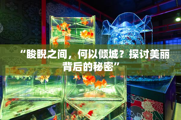 “睃睨之间，何以倾城？探讨美丽背后的秘密”